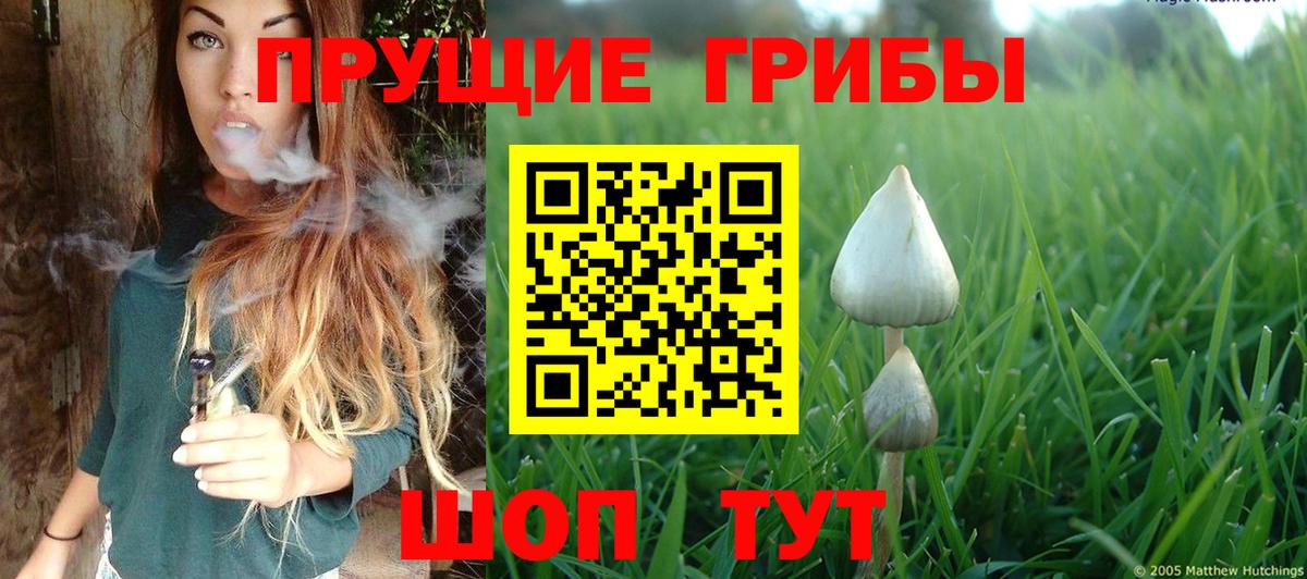 Псилоцибиновые грибы мицелий Можайск